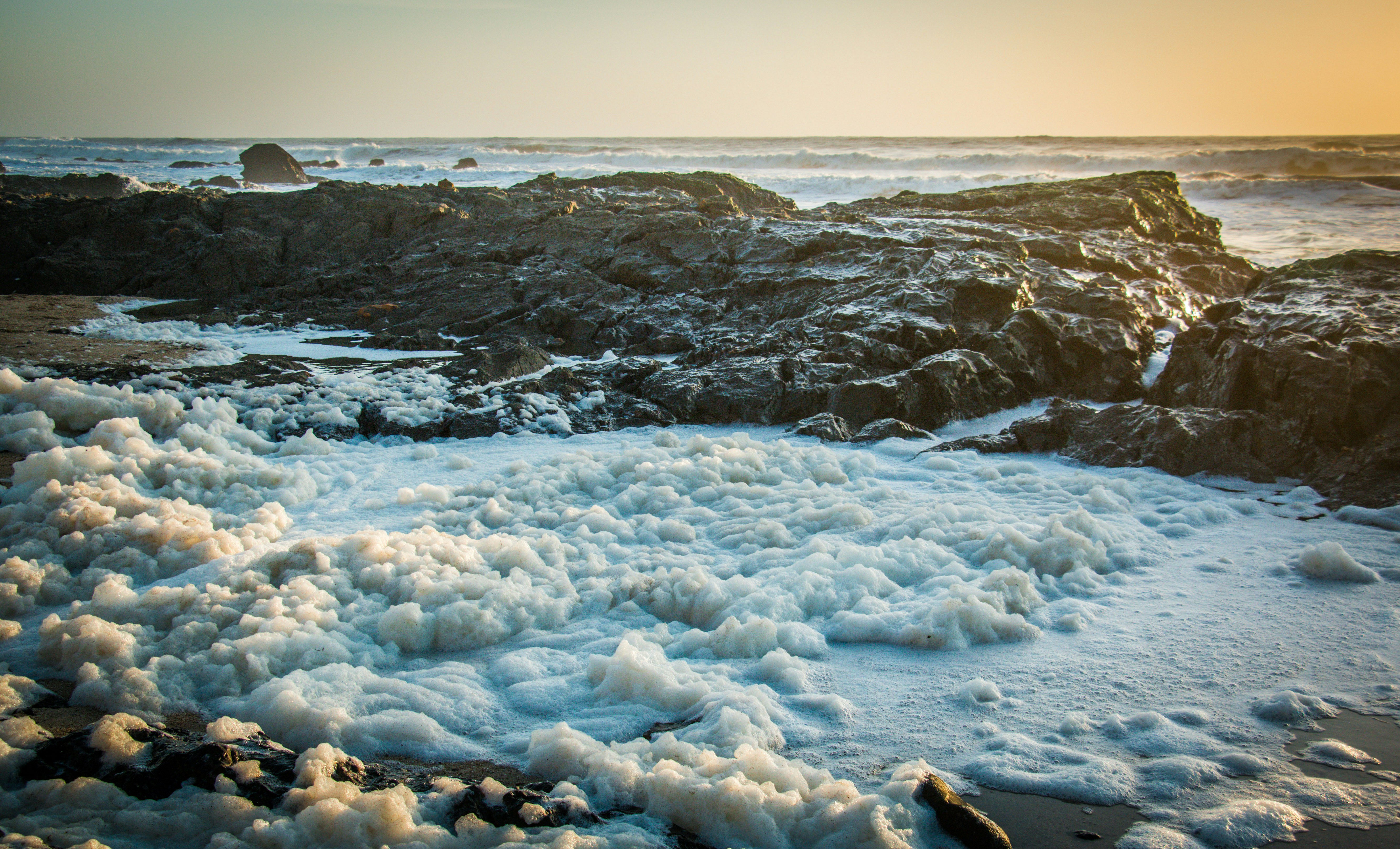 seashore during daytime